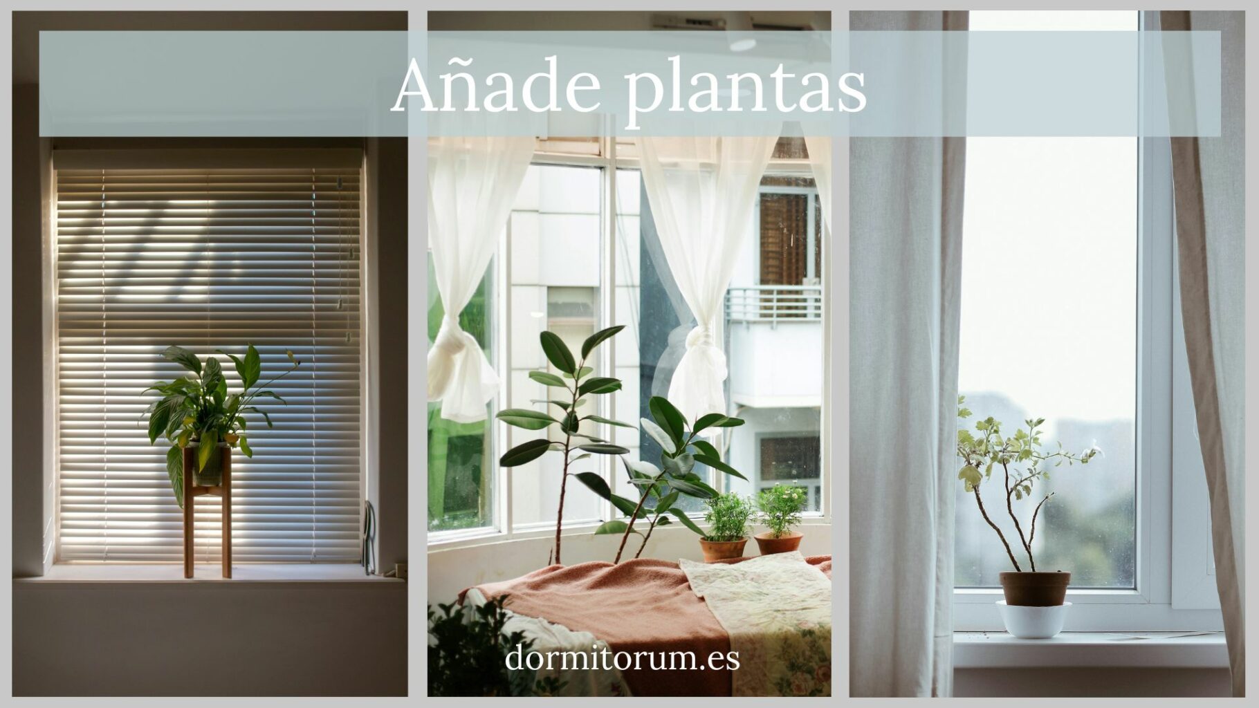dormitorio con ventana en el cabecero - añade plantas